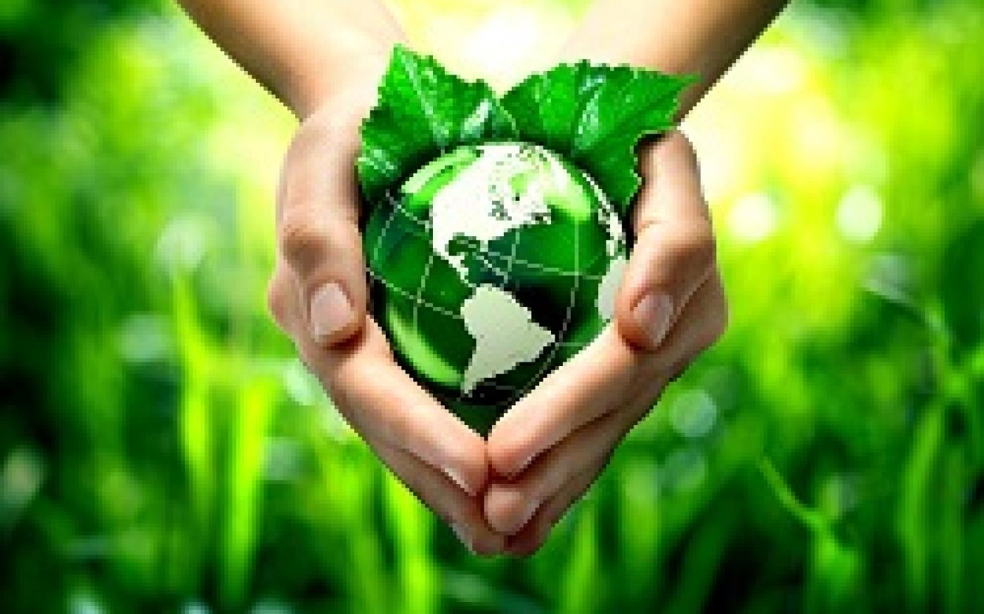 Sustainability Funds from Clarity Capital Advisors_0