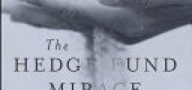 Hedge Fund Mirage