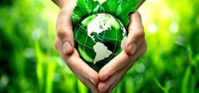 Sustainability Funds from Clarity Capital Advisors_0